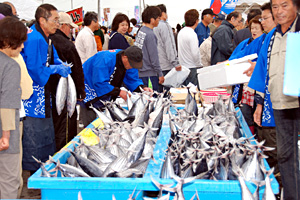 ゆりあげ港朝市で震災後初「かつお祭り」復活