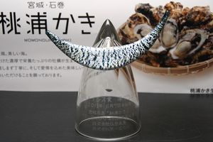 「桃浦のかき」広告がメイシス賞準グランプリを受賞