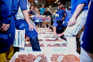 試験操業の福島産毛ガニが初上場