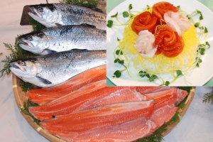 シーズン本番入り前に養殖ギンザケを試食提案