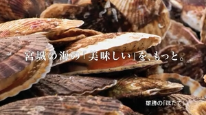 テレビCMなど2部門が仙台広告賞を受賞