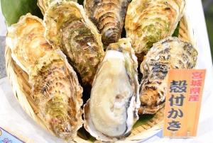 今月のおすすめは！「カキ」を試食提案