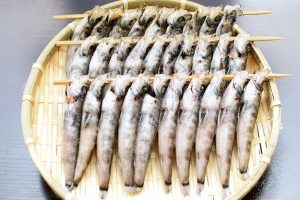 農林水産大臣賞に桃浦かきを使った髙政「御膳蒲鉾･かき」