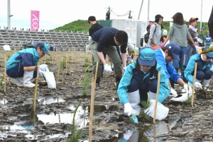 仙水グループが荒浜(仙台市)の海岸防災林植樹祭に参加