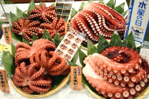 「みやぎ水産の日」のおすすめ！タコを試食提案