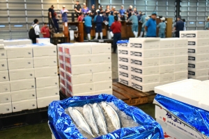 秋の味覚・新物サンマが入荷