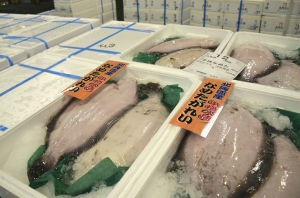 ナメタガレイの本格入荷でオススメ調理・保存方法をアピール