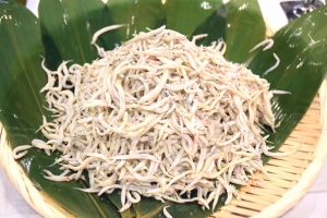 「みやぎ水産の日」でコウナゴとみやぎサーモンを提案