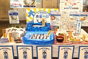 「みやぎ水産の日」でサンマを提案