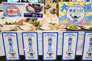 「みやぎ水産の日」でカレイを提案