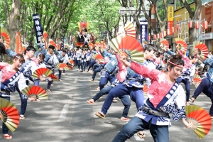 第35回仙台・青葉まつりで仙水グループが躍動！