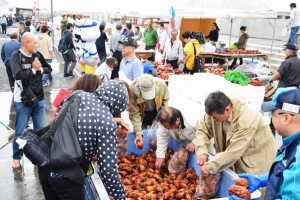 ゆりあげ港朝市でほや祭り