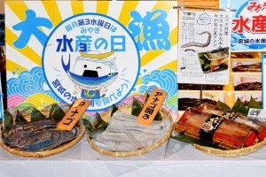 「みやぎ水産の日」でアナゴを提案