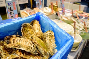 「宮城県産カキ」本格出荷イベントを開く
