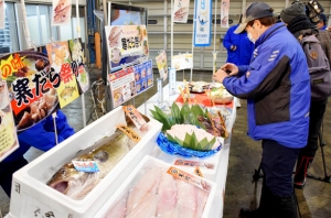 冬の味覚「寒ダラ」の本格入荷イベントを開く