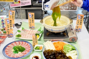 春を先取り「旬の春海藻ワカメ・メカブ」を提案