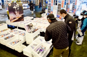 養殖銀鮭「伊達のぎん」の本格出荷に合わせ売場でPR