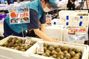 期間限定「東松島産ホッキ貝」を提案