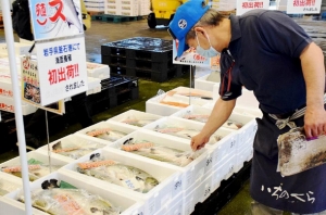 岩手釜石産「養殖サクラマス」を初上場
