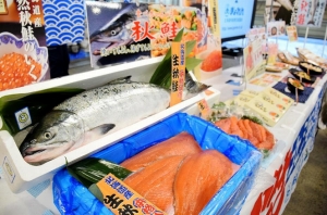 北海道産「秋鮭」本格入荷！はらこ飯などメニュー提案
