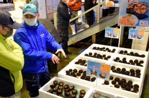 作り育てる南三陸産「養殖 恵みのうに」初上場！